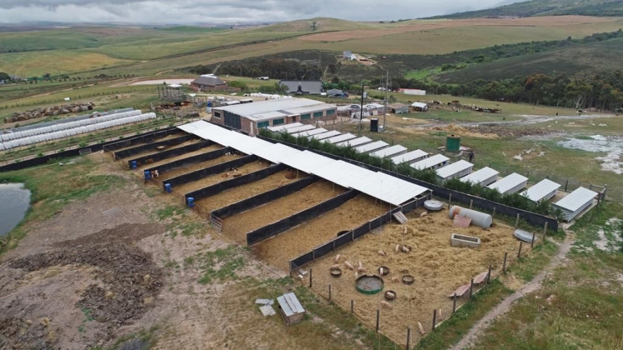 Commercial Property for Sale in Tesselaarsdal Western Cape